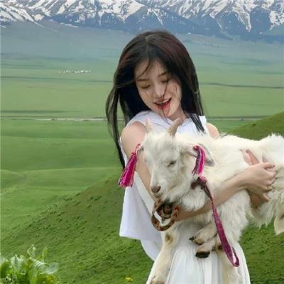 莫顿船长与蜘蛛女王